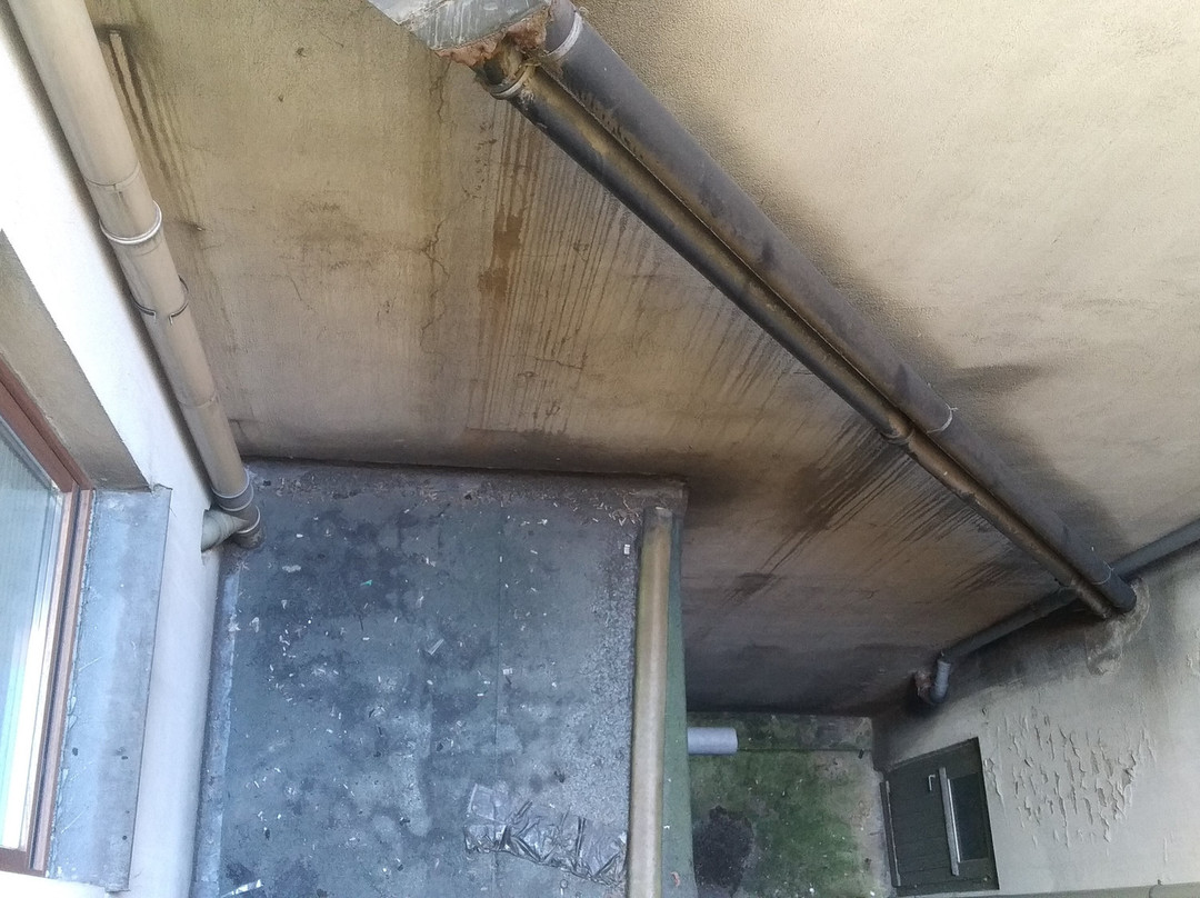 Altstadt-Wiege主图