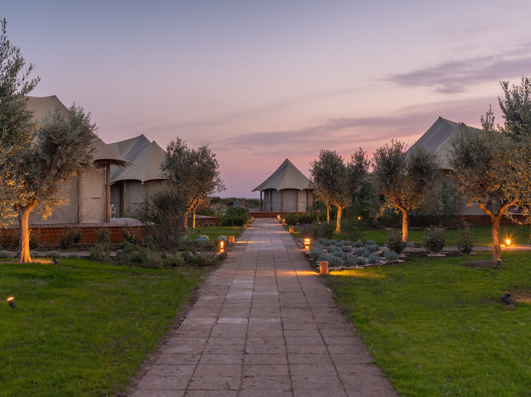 Canino旅游景点-Terme di Vulci Glamping & Spa