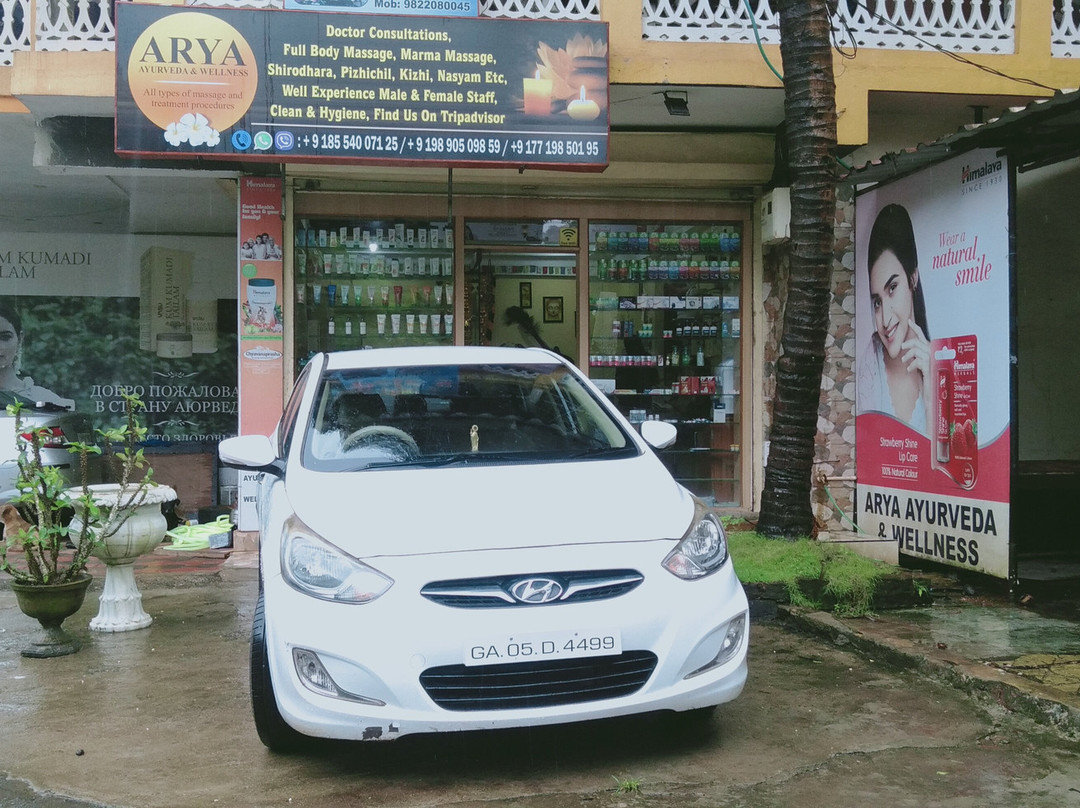 Arya Ayurveda and Wellness-奔闹林必去景点