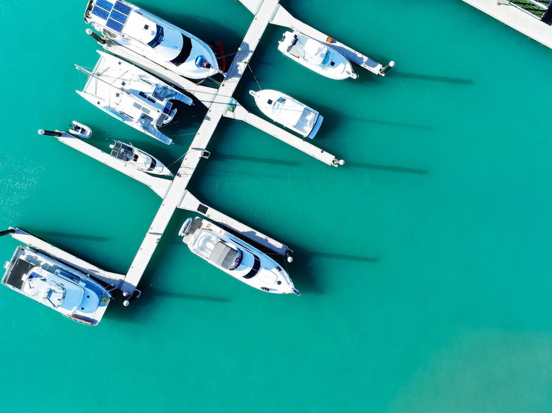 Coral Sea Marina-艾尔利滩必去景点