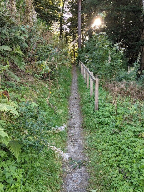 Birnam War Memorial-Birnam必去景点