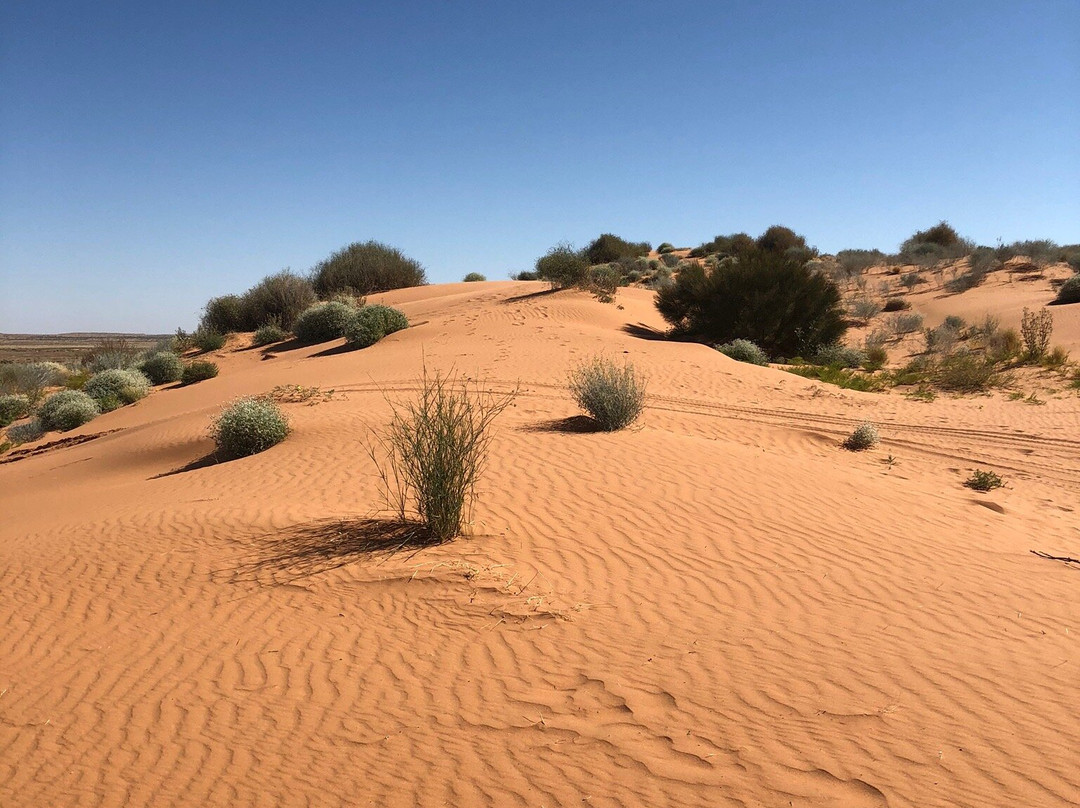 Big Red Sand Dune-Birdsville必去景点