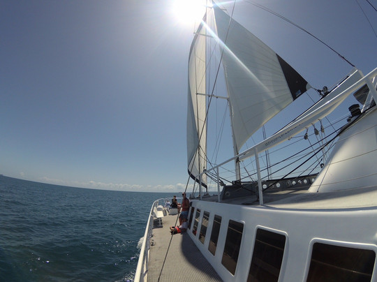 Wavedancer Low Isles Cruise-道格拉斯港必去景点