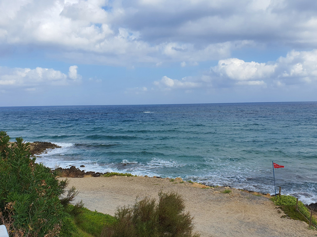 Alexander Beach Hotel & Village Resort主图