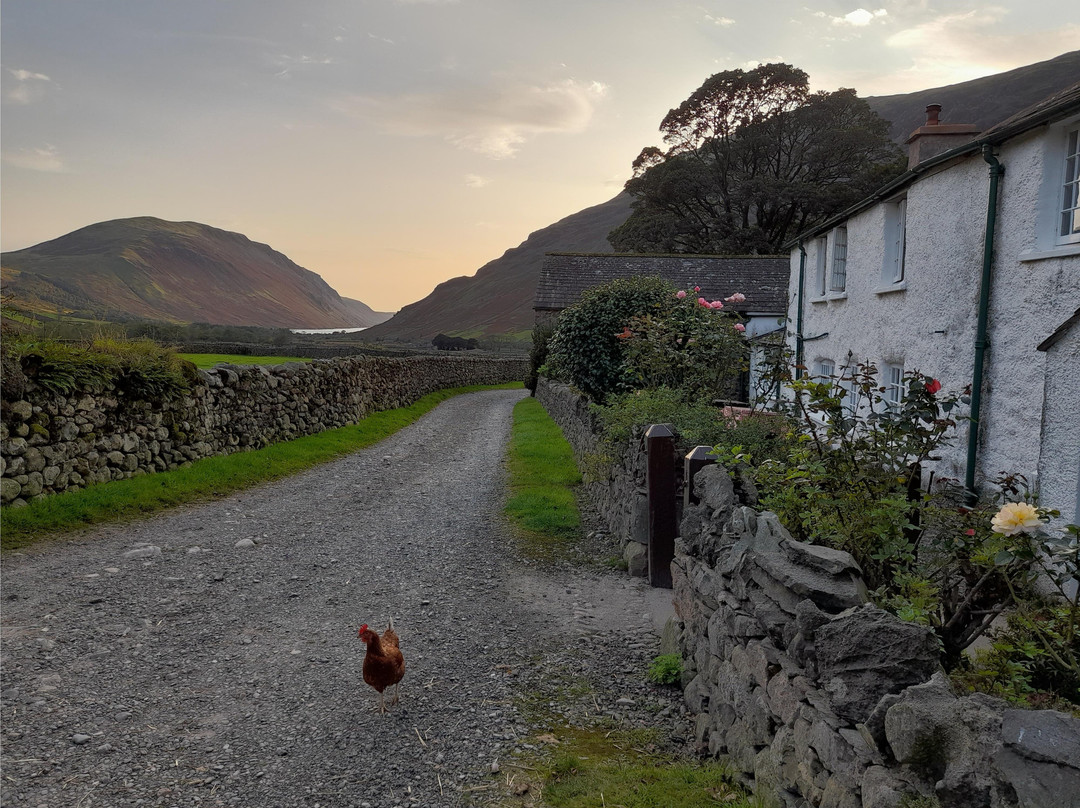 Burnthwaite Farm主图