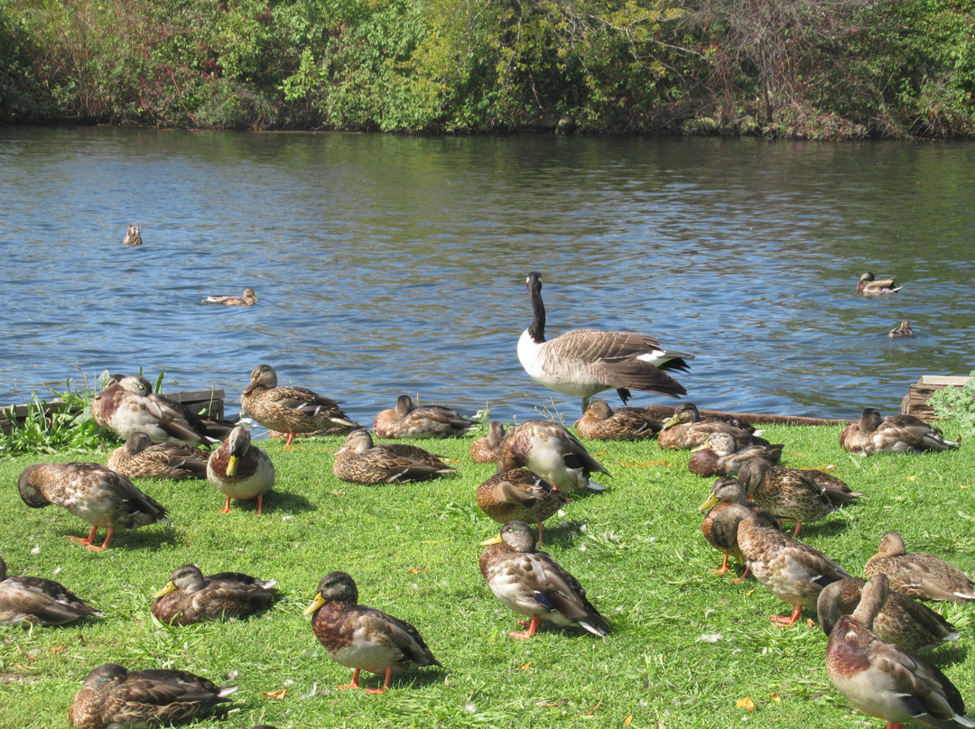 The Collingwood Trails-科林伍德必去景点