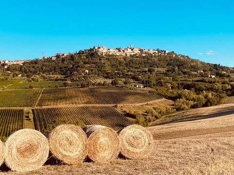 Urban Bikery-蒙特普尔恰诺必去景点