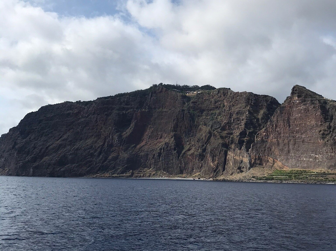 Vip Dolphins-沙尔必去景点