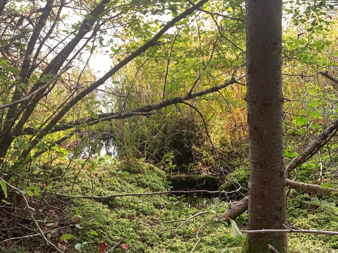 Woodford State Park-Woodford必去景点