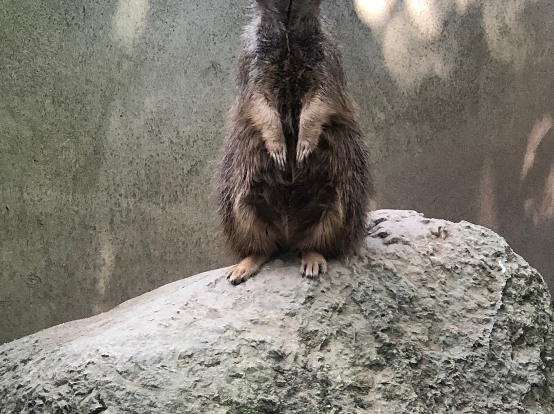 Vogelpark Turnersee-Sankt Primus必去景点
