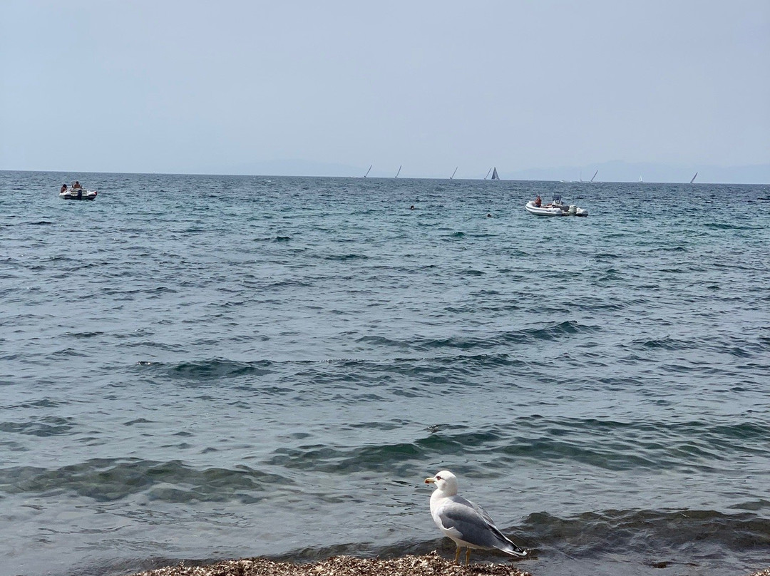 Cala Martina景点图片