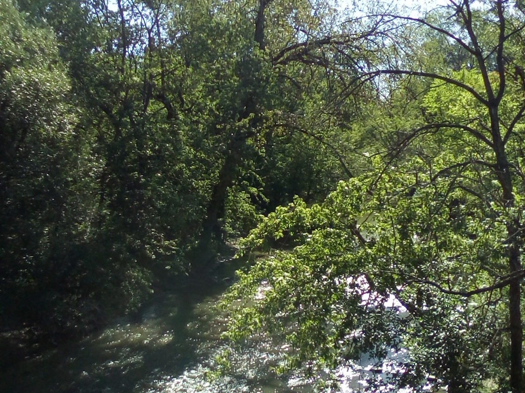 North Branch Bike Trail-斯科基必去景点