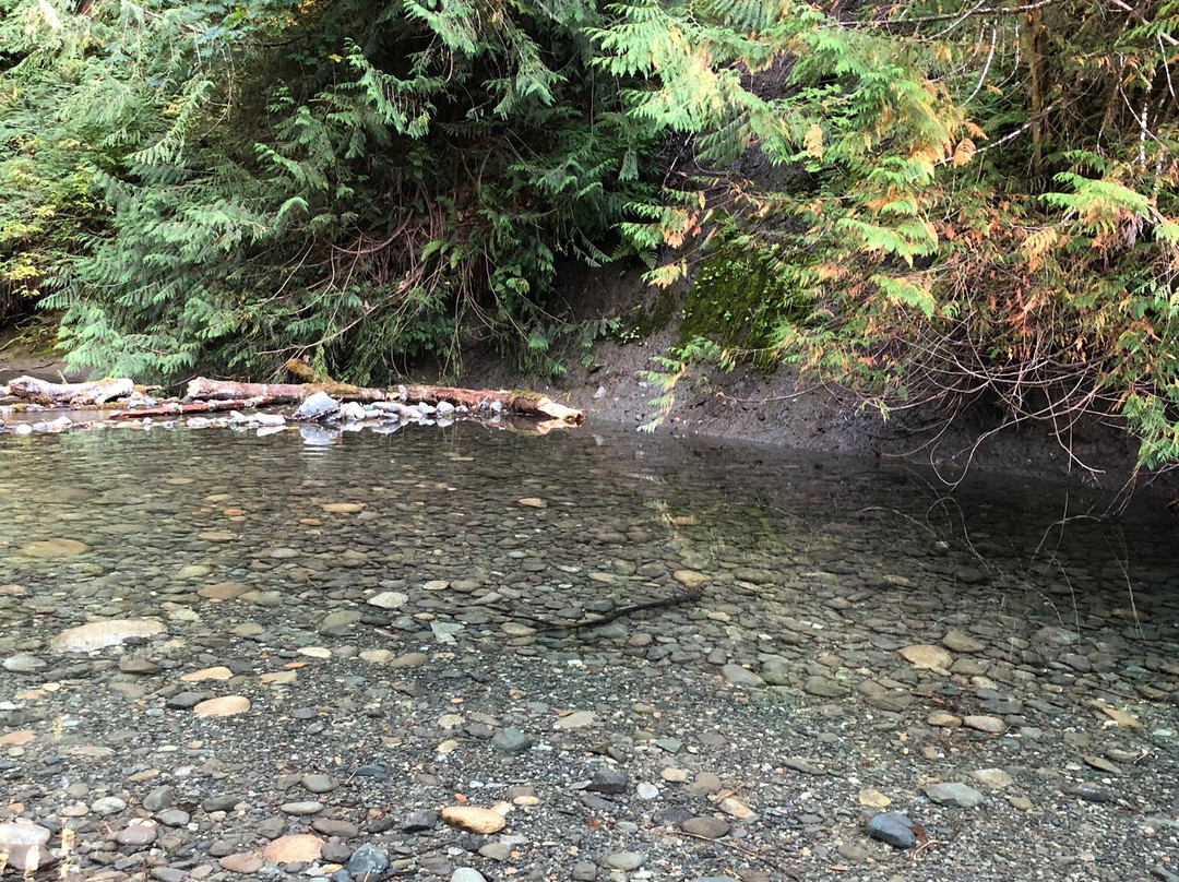 Rosewall Creek Provincial Park景点图片