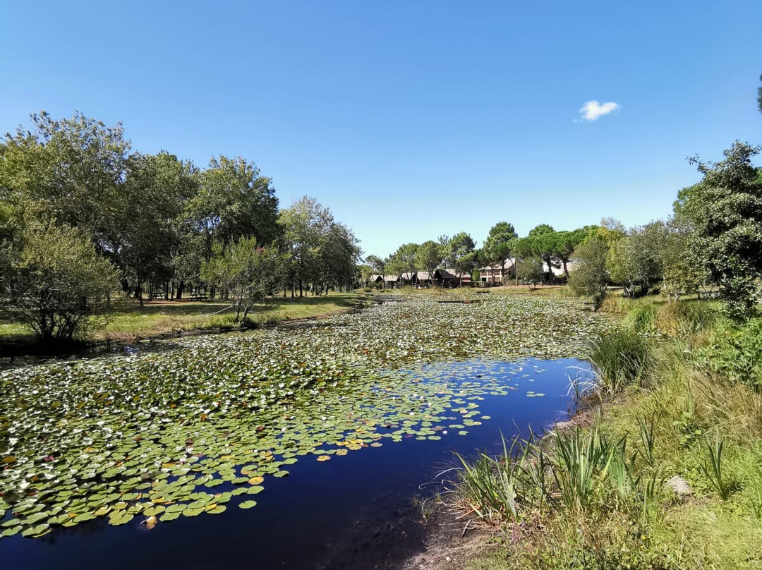 Carcans酒店住宿-Résidence Odalys Référence Résidence du Port