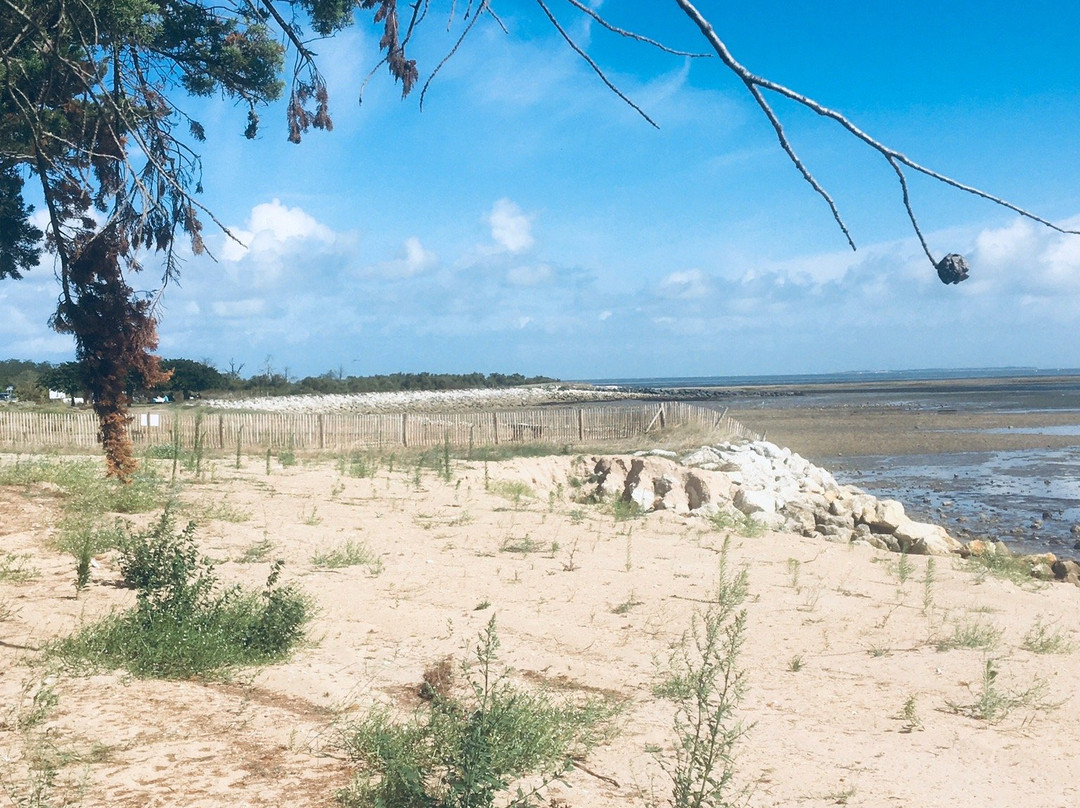 Plage de la Phibie