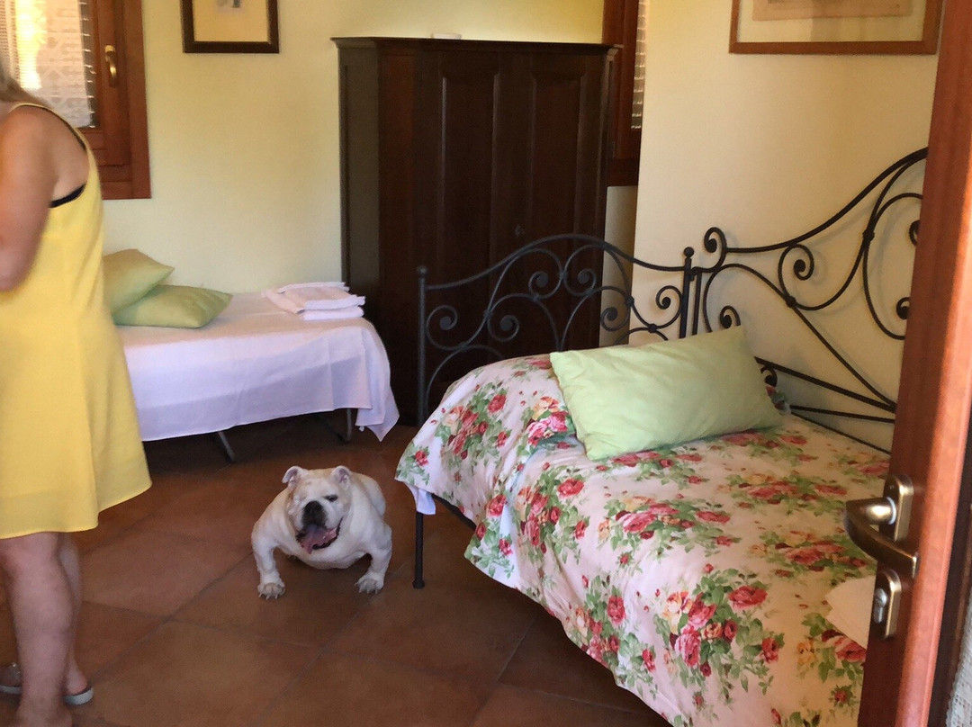 Casine Belvedere主图