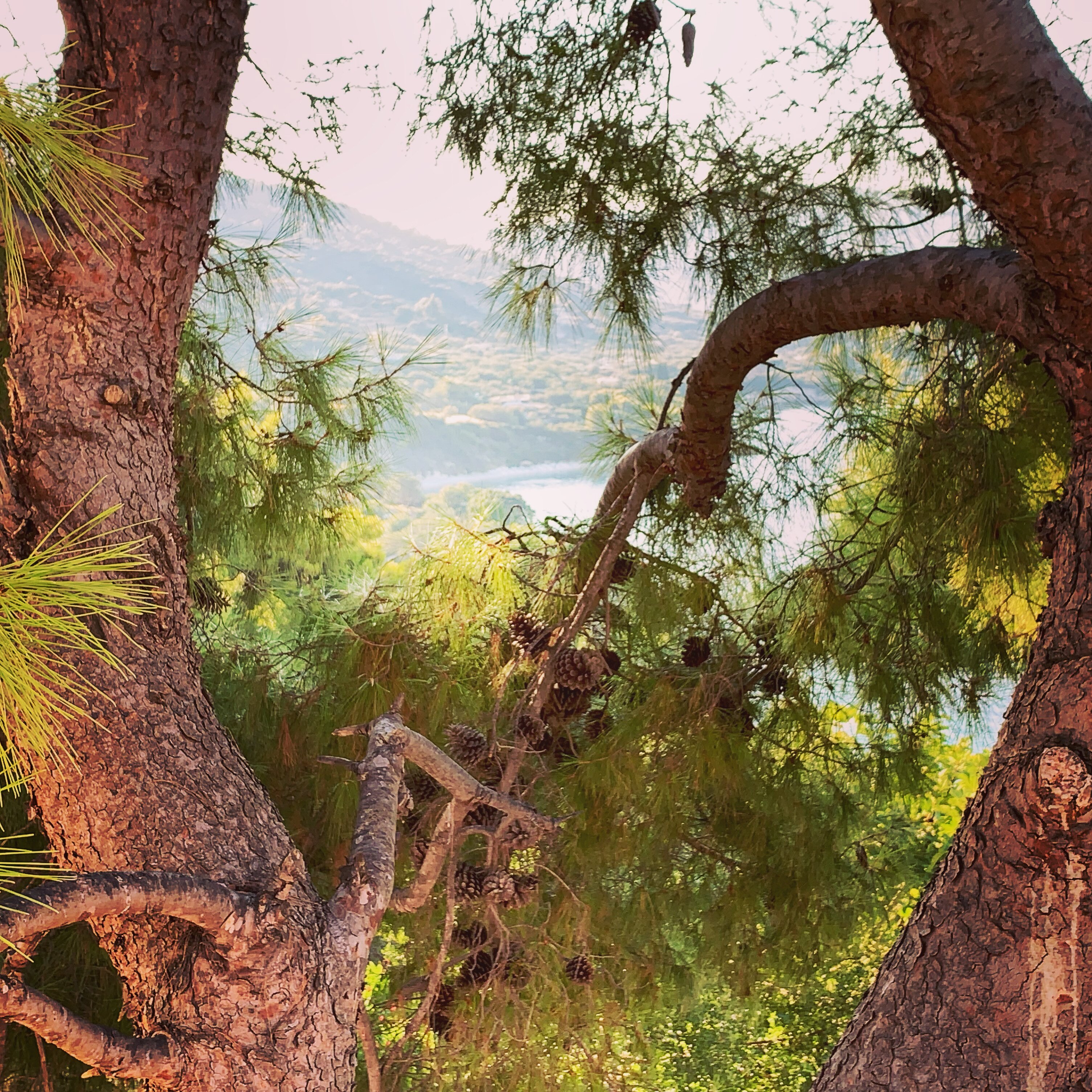 Villas Cavo Marathia-浴室