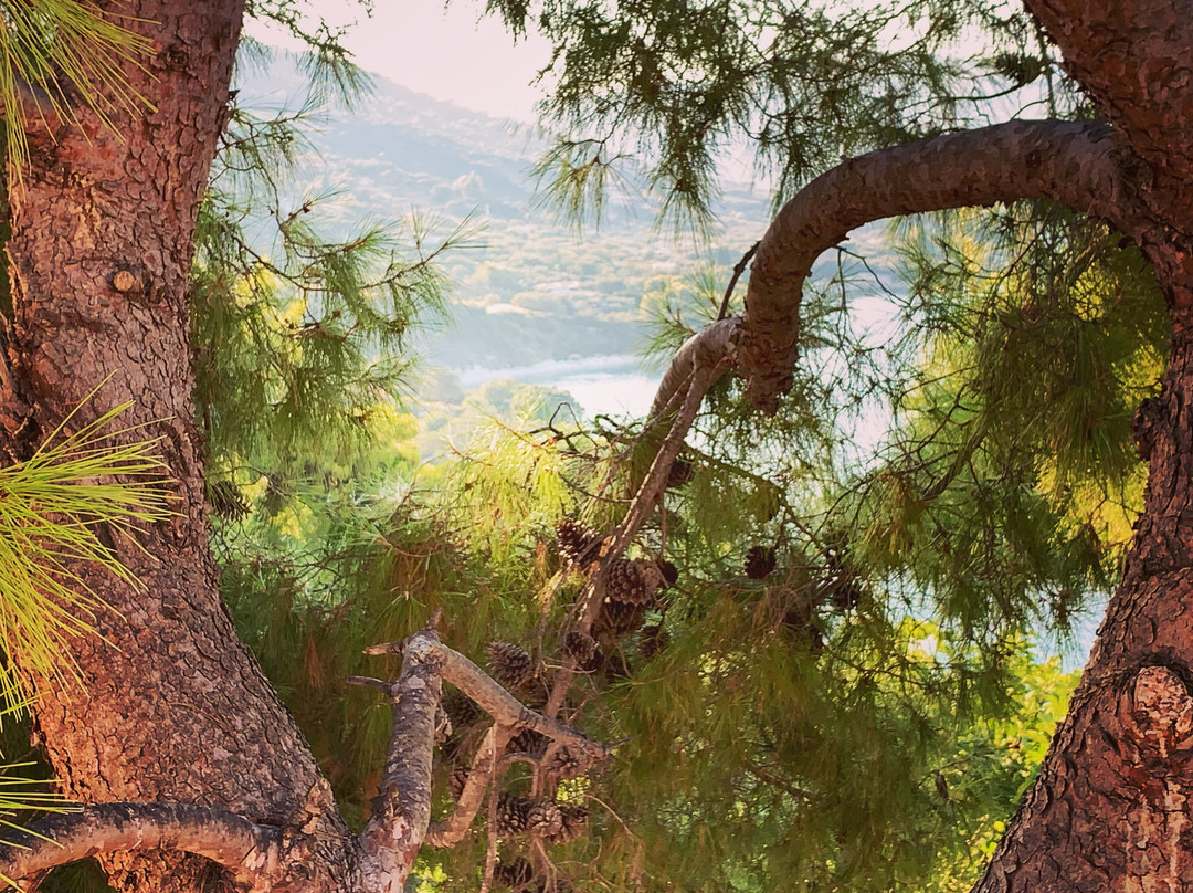 Villas Cavo Marathia主图