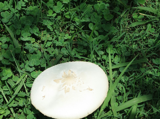 La Quinta Inn & Suites by Wyndham Chattanooga - Lookout Mtn主图