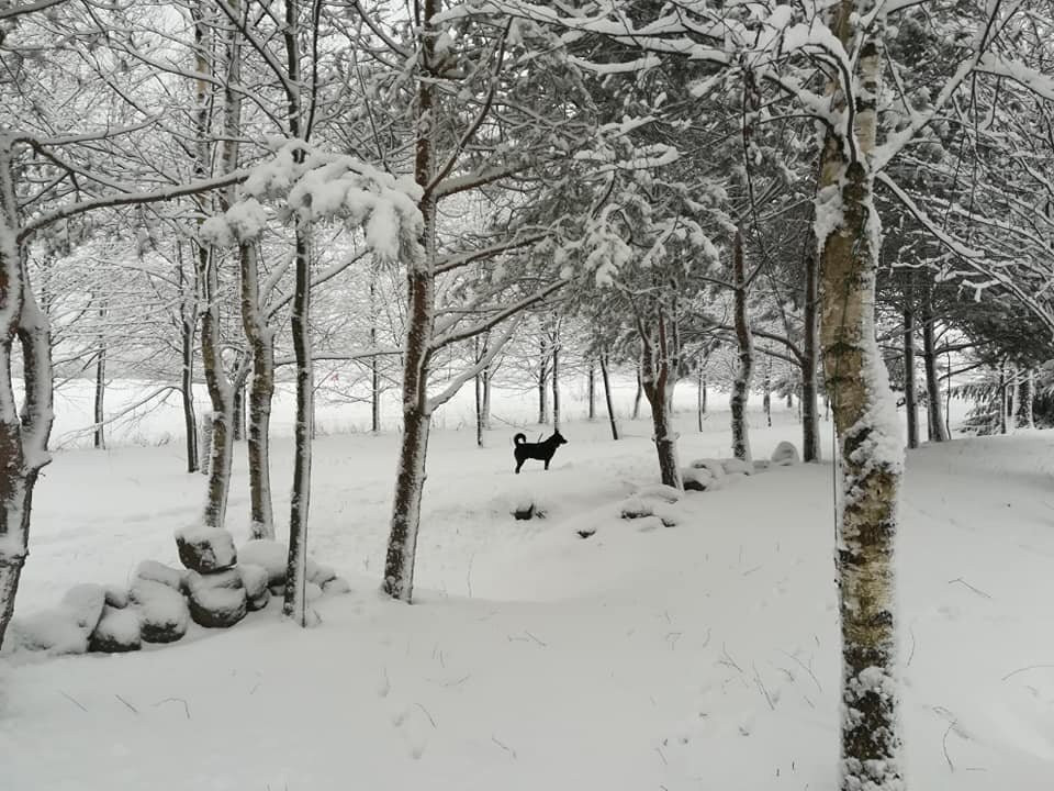 Gamtos Girnos-Sakiai必去景点