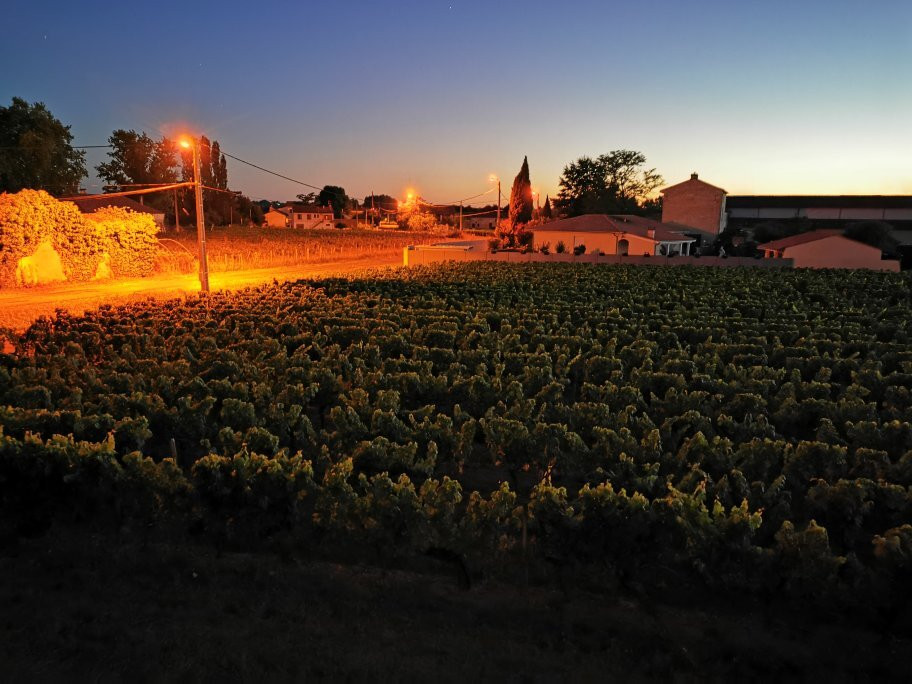 Bed & Breakfast Cabadentra Saint-Emilion主图