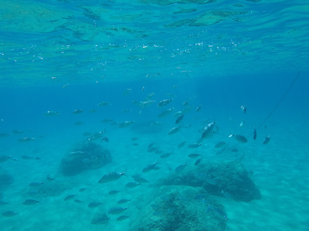 Volcano Boat-Adamas必去景点