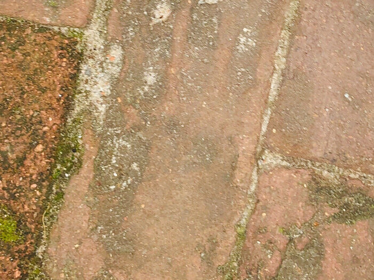 Charleston Cavalier Tours-查尔斯顿必去景点