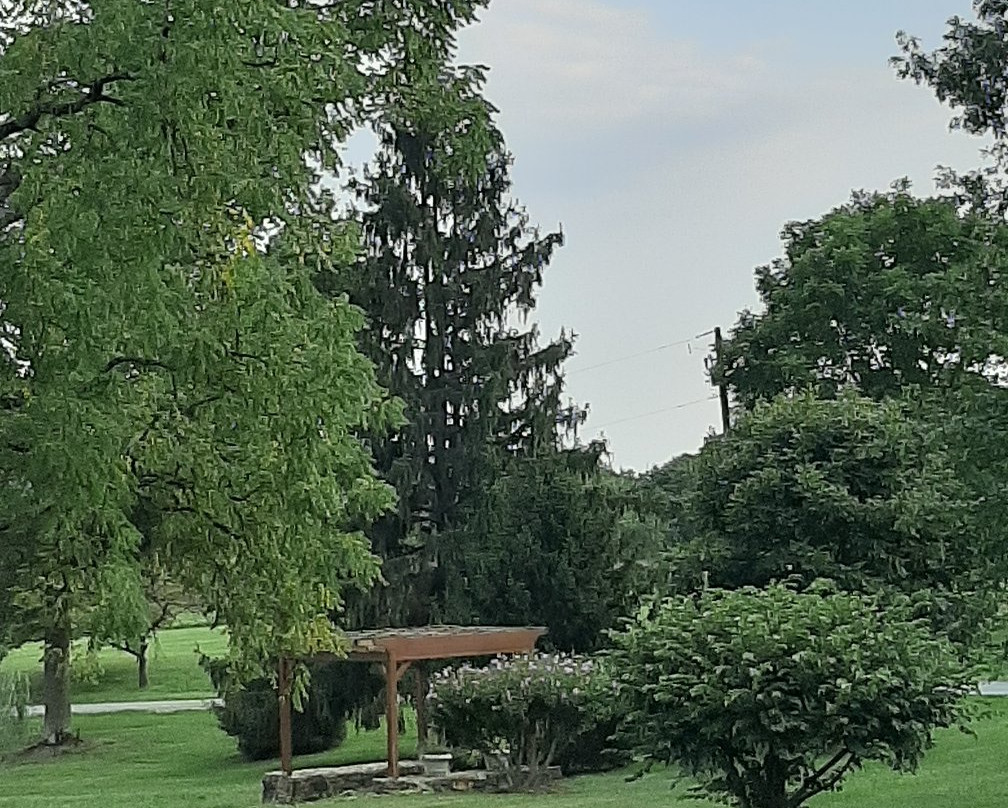 868 Estate Vineyards景点图片