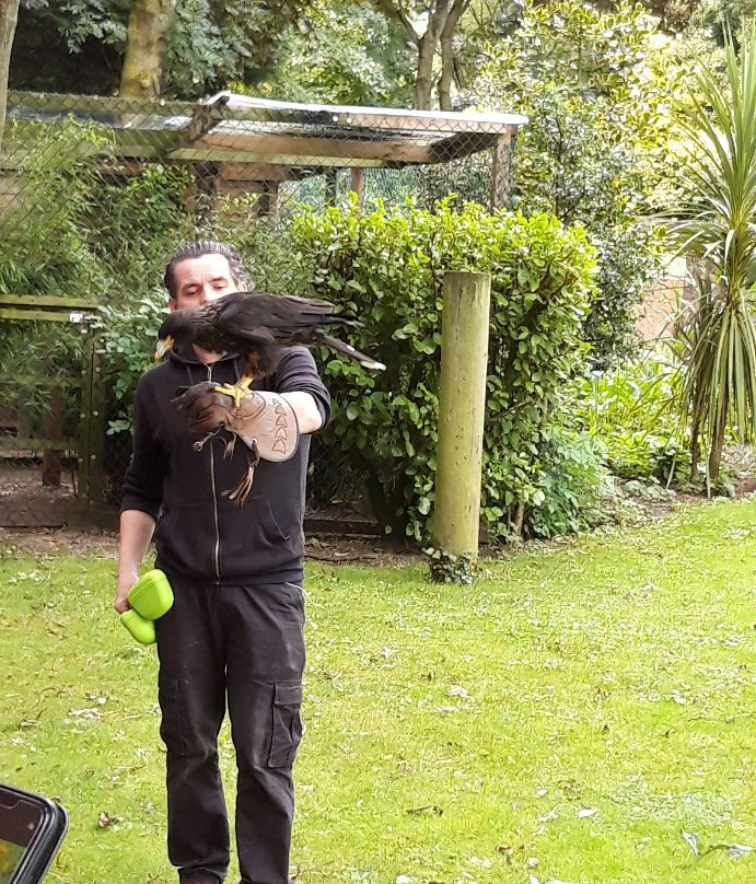 Kirkleatham Owl Center-Redcar必去景点