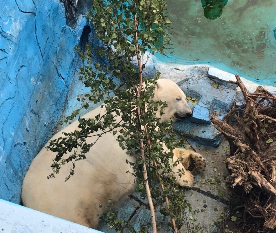 Yekaterinburgskiy Zoopark景点图片