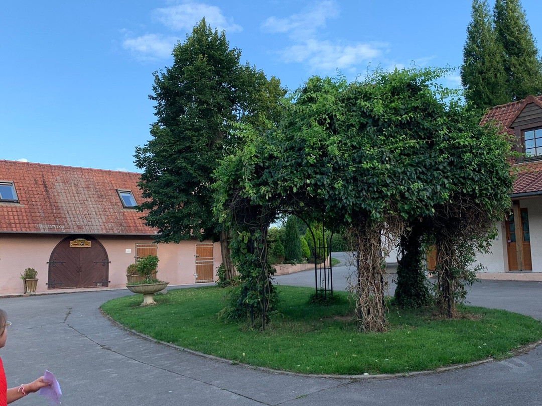 Hotel du Moulin aux Draps主图