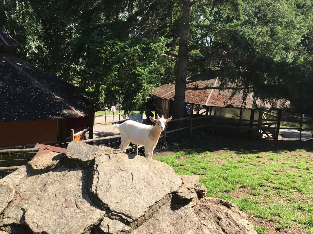 Natural'Parc景点图片