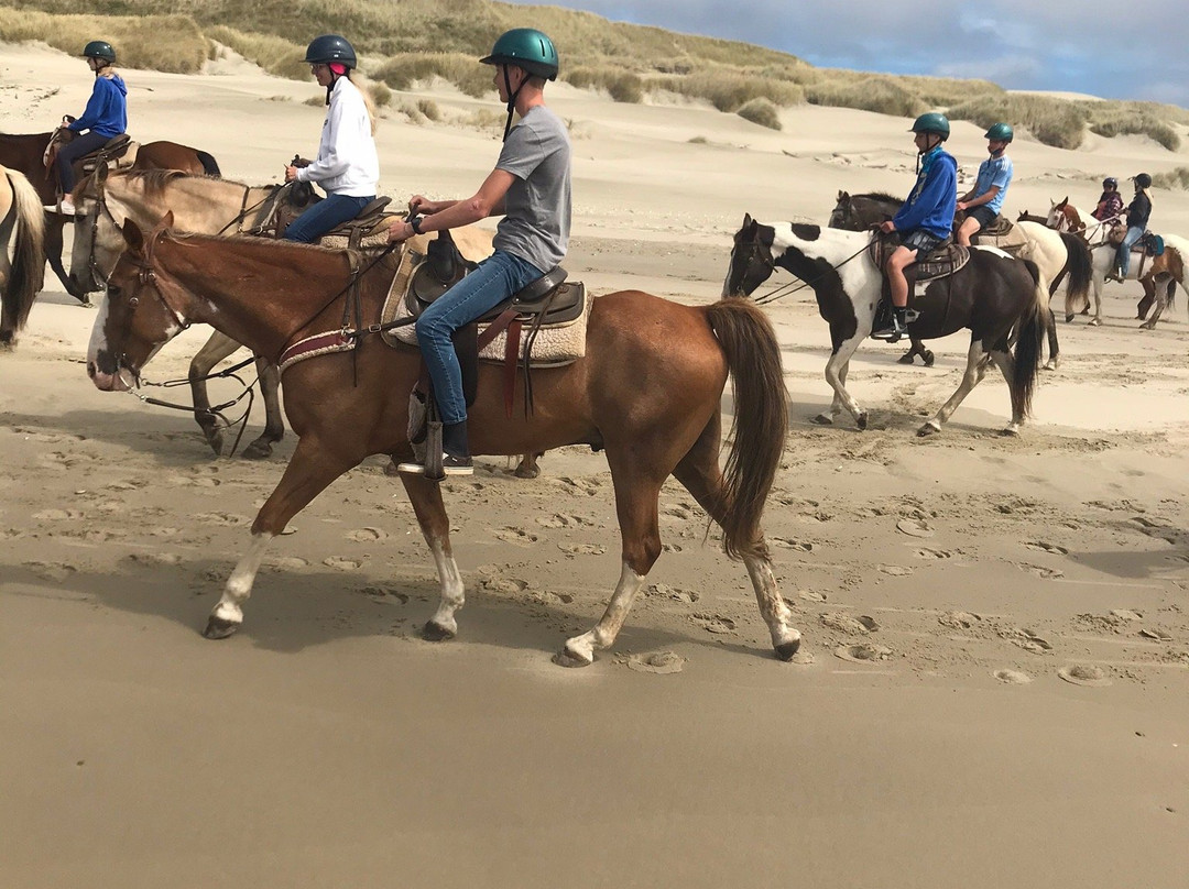 C & M Stables-弗洛伦斯必去景点