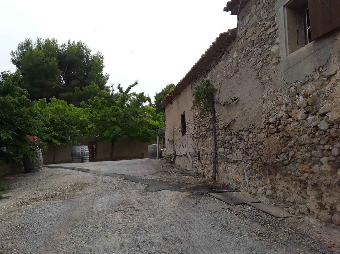 Château le Bouïs主图