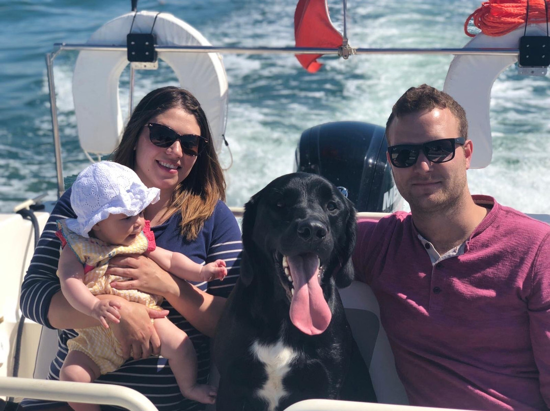 Poole Harbour Water Taxi-普尔必去景点