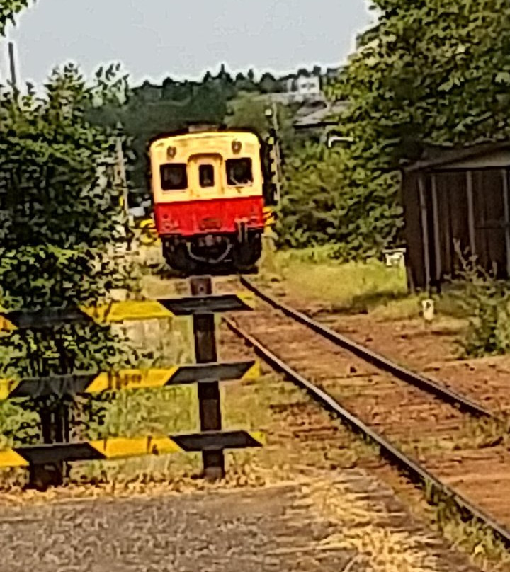 Kominato Tetsudo-市原市必去景点