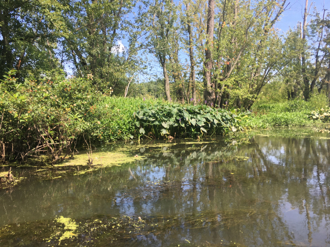 Camp Hi Canoe Livery-Hiram必去景点