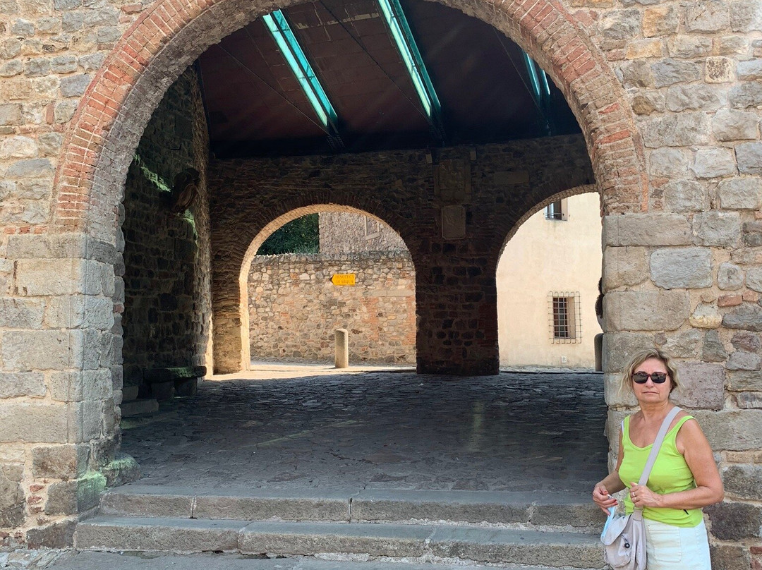 Loggia dei Vicari景点图片