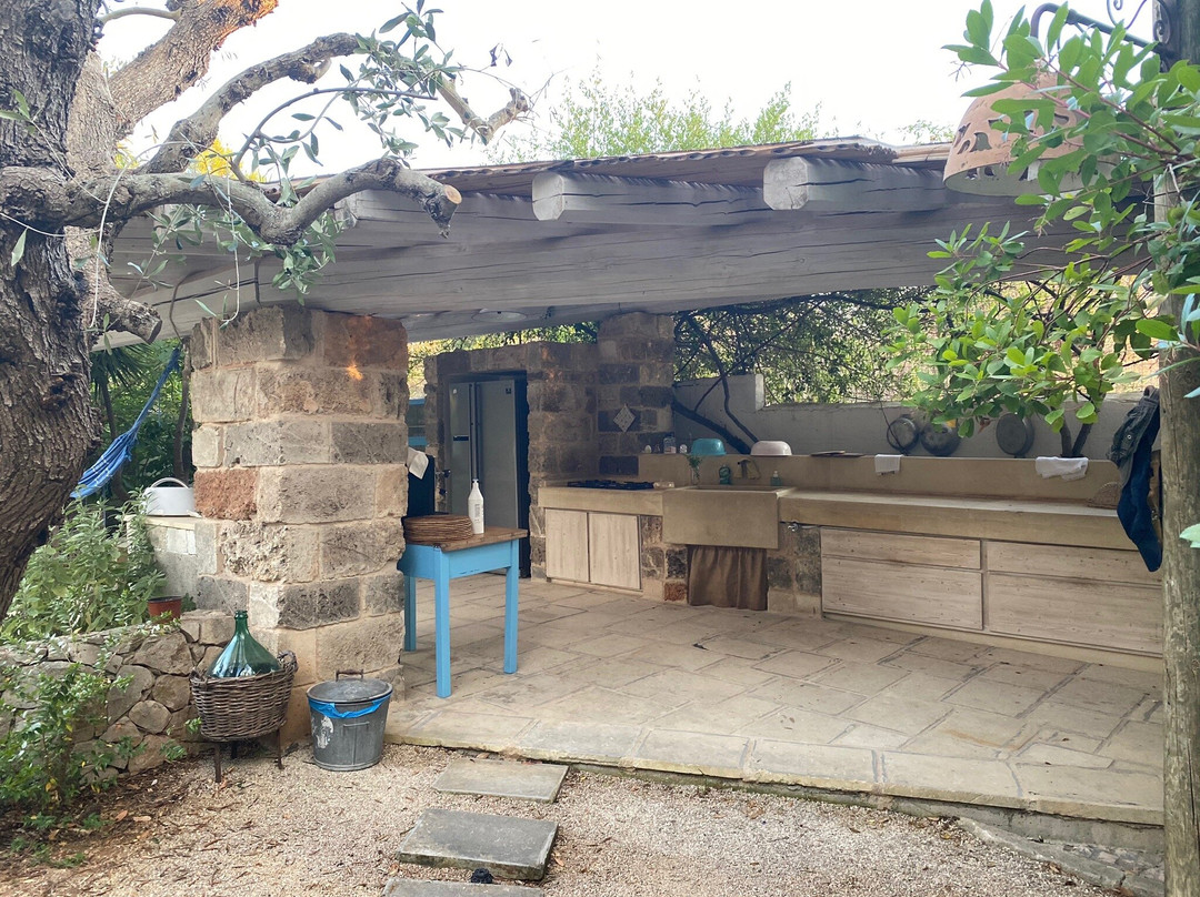 Cava Degli Ulivi主图