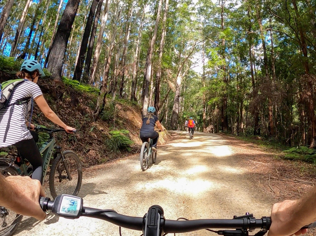 Beyond Byron E Bike Tours - Mullumbimby景点图片