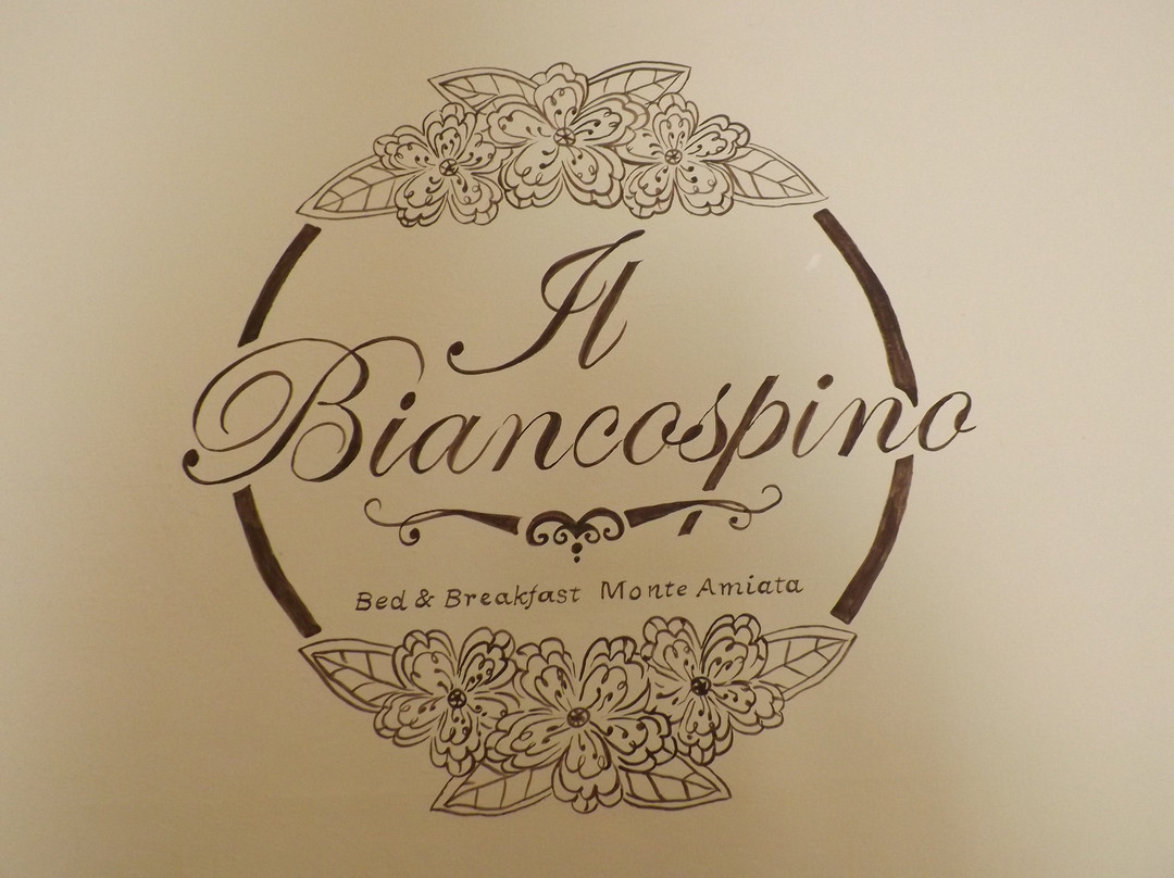 B&B Il Biancospino主图