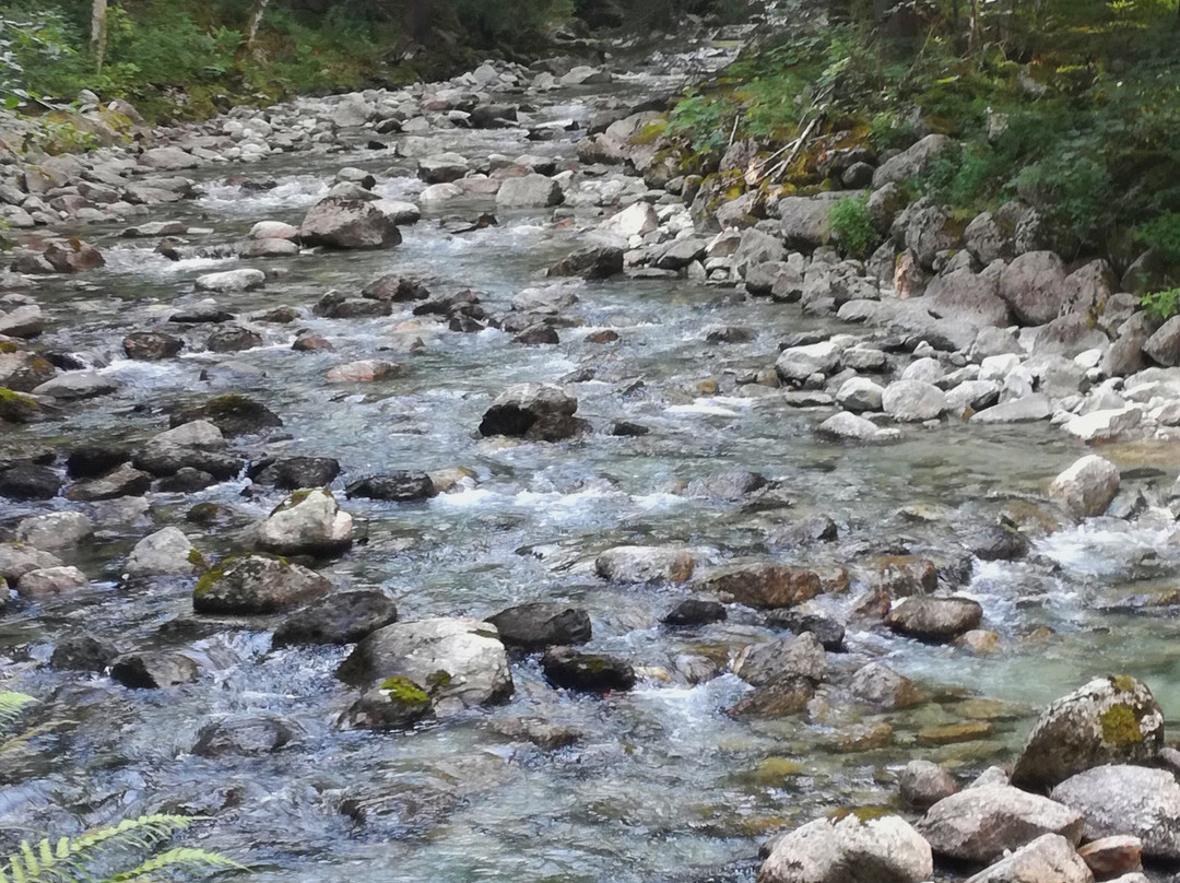 Foresta Bagni Masino景点图片