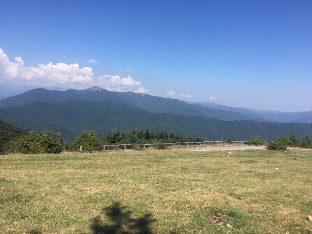 Parco Naturale di San Romolo-圣雷莫必去景点