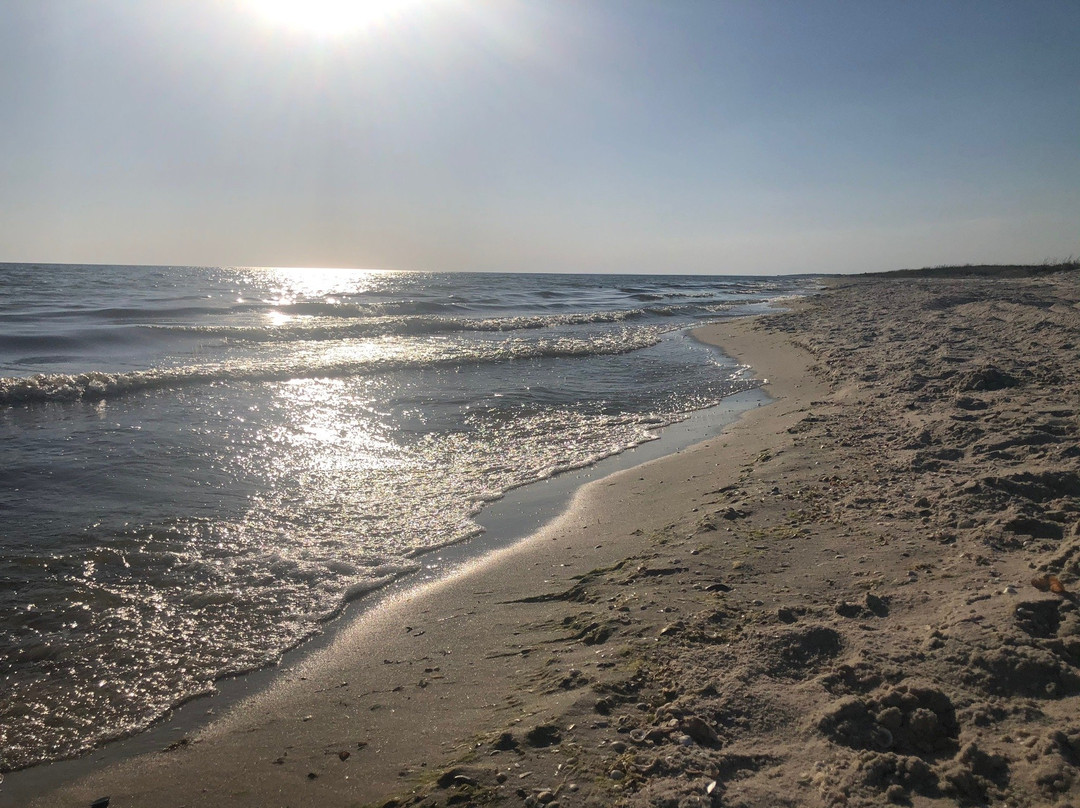 Regional Landscape Park Kinburnskaya Spit-Ochakiv必去景点