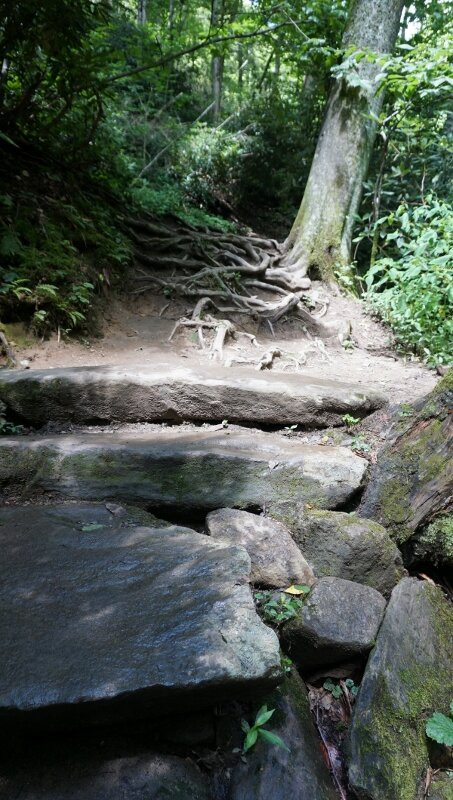 Glen Burney Trail景点图片
