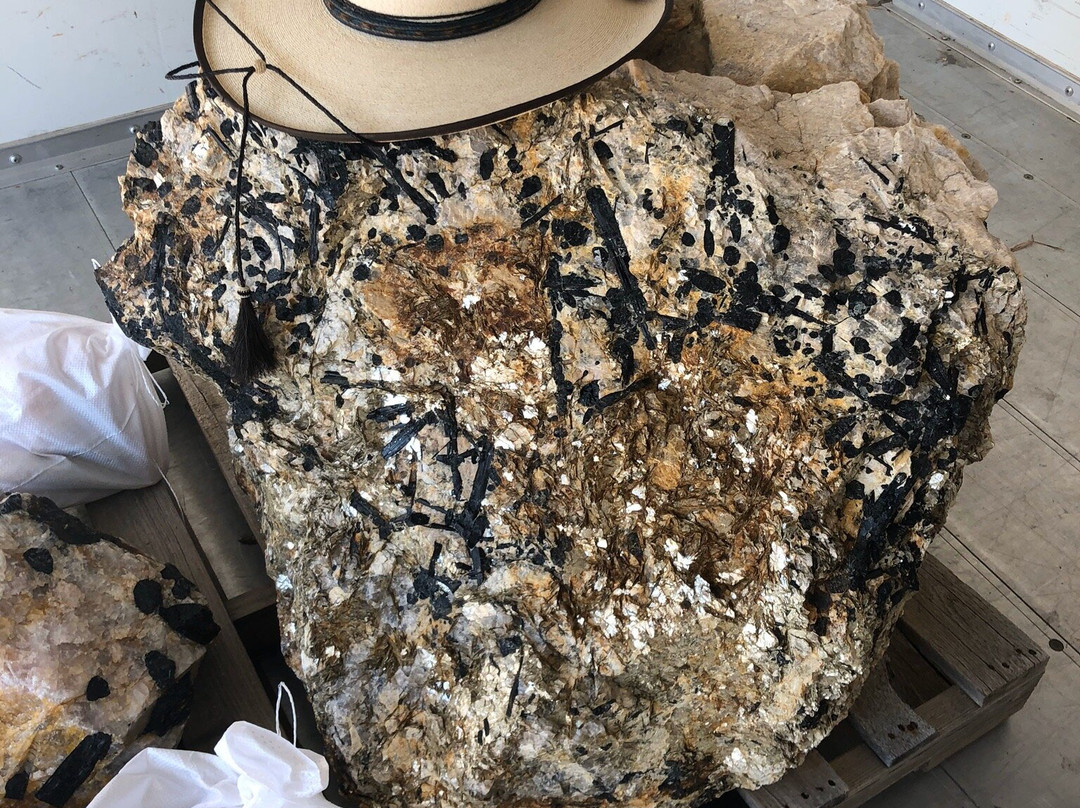 Daves Rock Shop-卡斯特必去景点