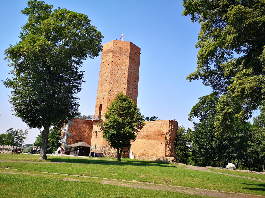 Kruszwica Medieval Castle景点图片