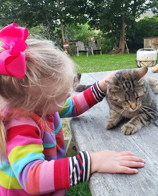 Hooking by the Sea - Brierwood Farm Retreat主图