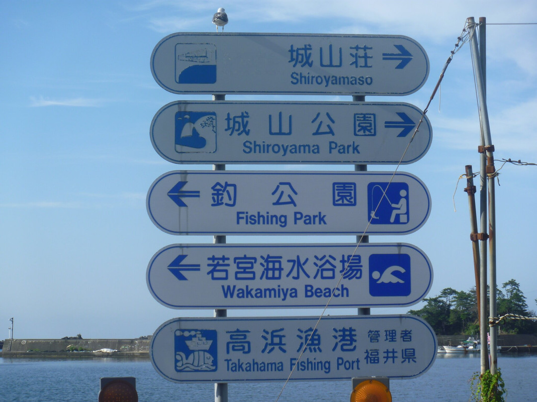 Takahama Fishery Bay景点图片