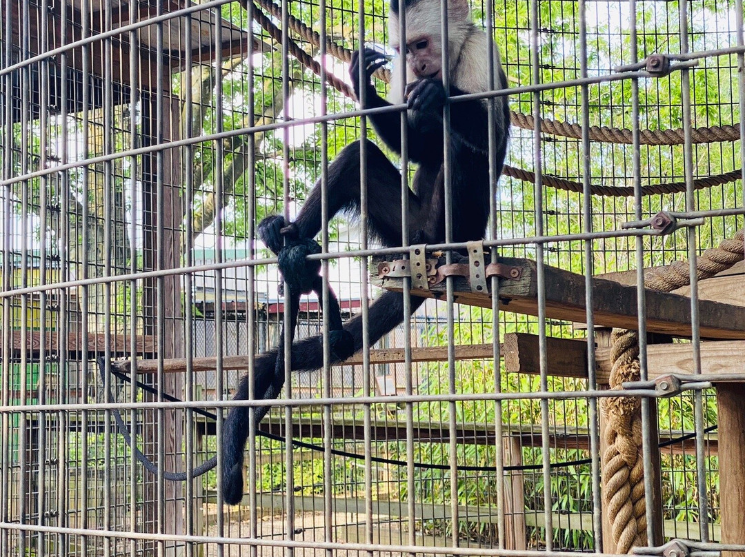 Luray Zoo - A Rescue Zoo-卢雷必去景点